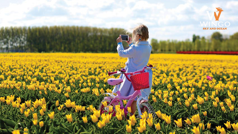 hoà mình vào lễ hội Floriade vào mùa xuân tại Úc