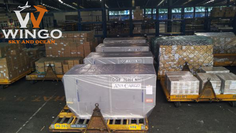 Vận chuyển hàng hoá đi Cộng Hoà Séc nhanh chóng, tiết kiệm với WinGo