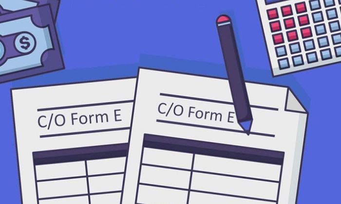 co form e ảnh minh họa co form e