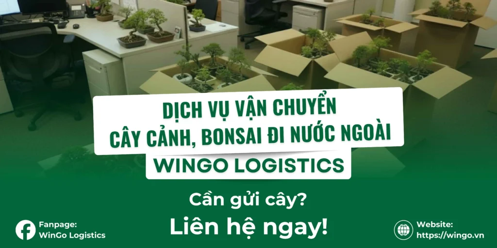 Dịch vụ gửi cây cảnh đi nước ngoài Wingo Logistics