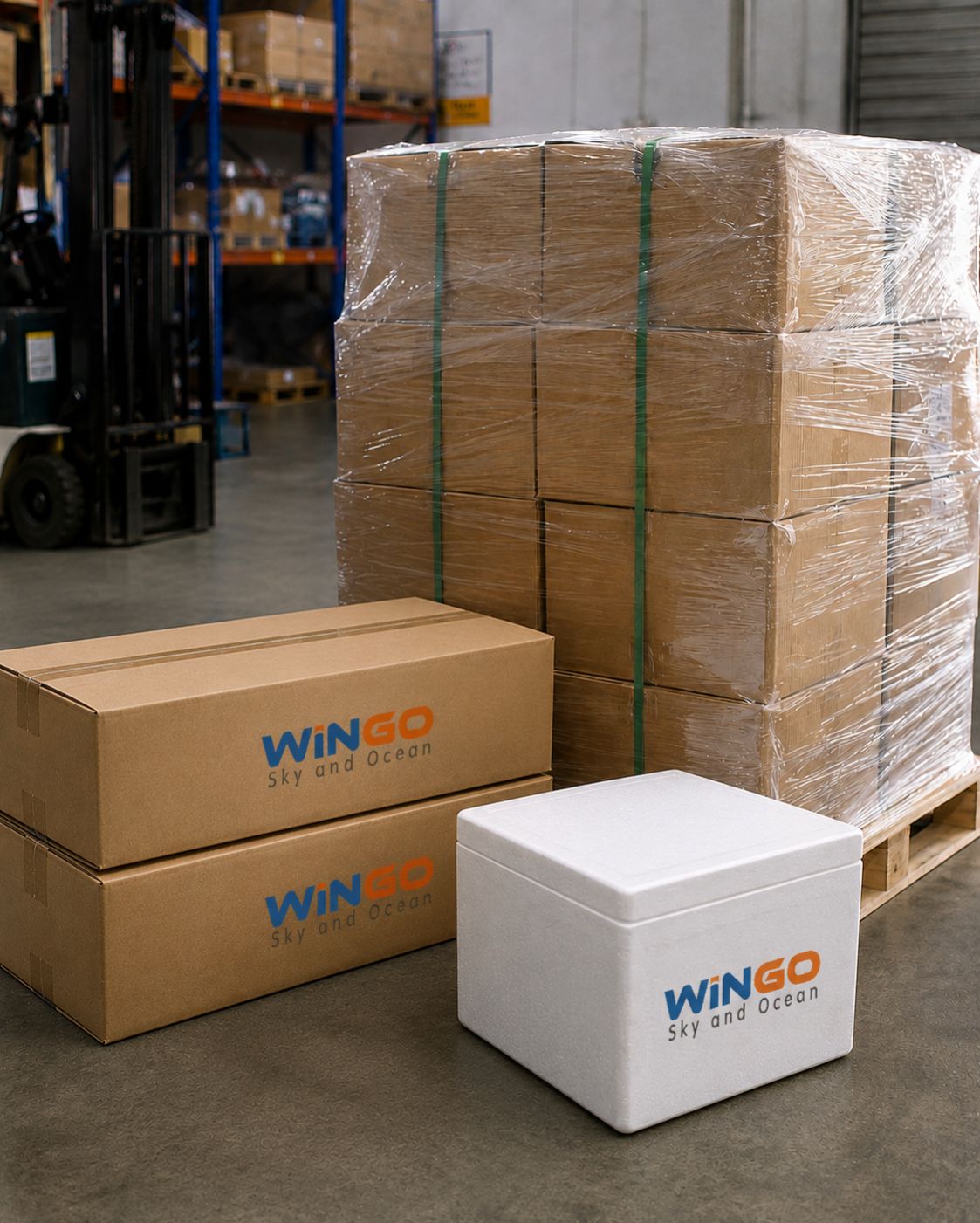 Wingo Logistics air freight services